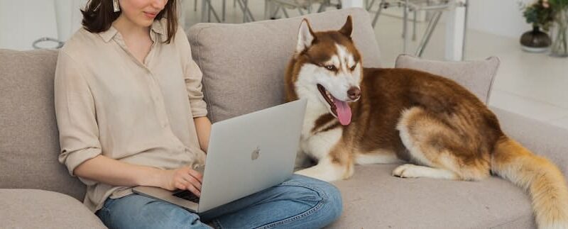 Pet Ownership Survey: Costs, Trends, & More